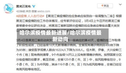 哈尔滨疫情最新进展/哈尔滨疫情最新动向-第2张图片