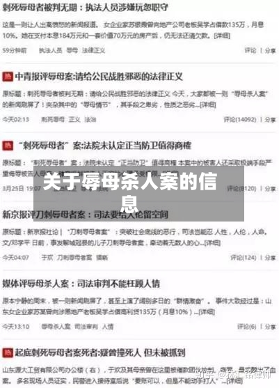关于辱母杀人案的信息