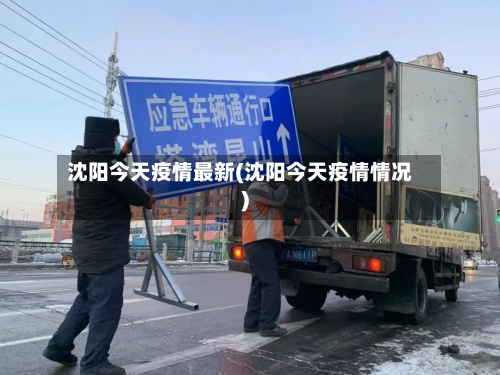 沈阳今天疫情最新(沈阳今天疫情情况)-第2张图片