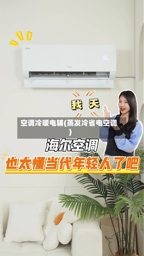 空调冷暖电辅(蒸发冷省电空调)