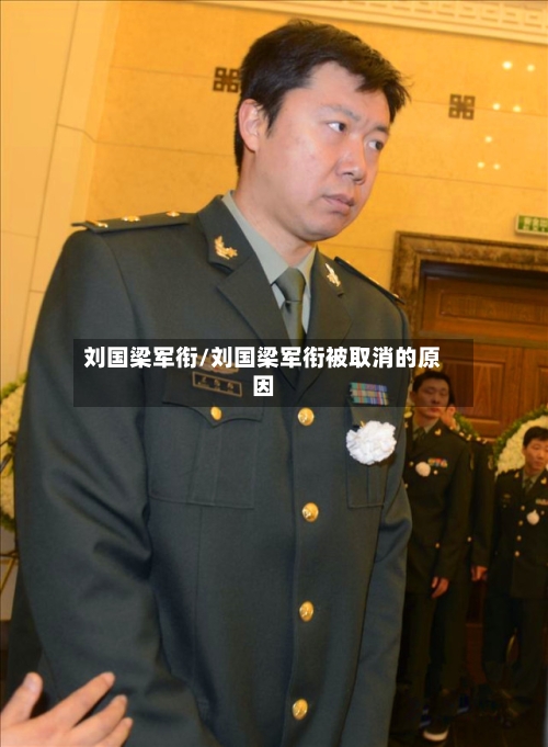 刘国梁军衔/刘国梁军衔被取消的原因-第2张图片