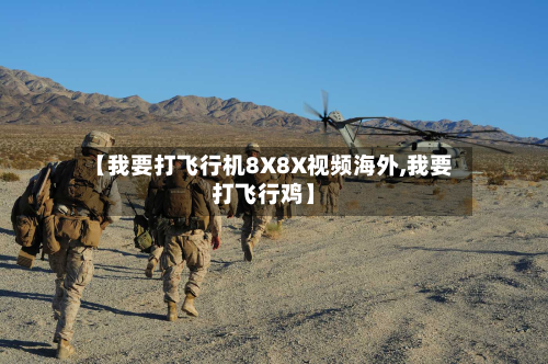 【我要打飞行机8X8X视频海外,我要打飞行鸡】