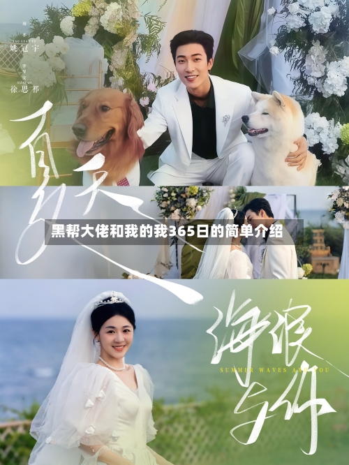 黑帮大佬和我的我365日的简单介绍-第3张图片