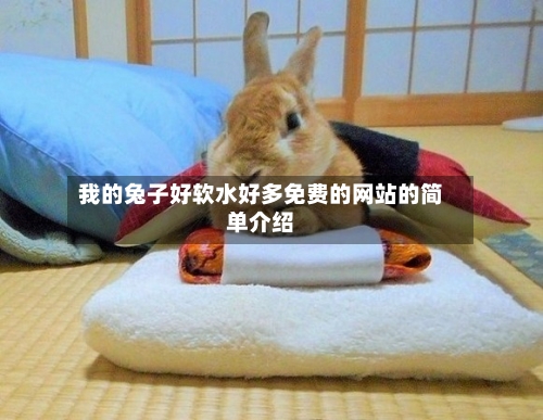 我的兔子好软水好多免费的网站的简单介绍-第2张图片