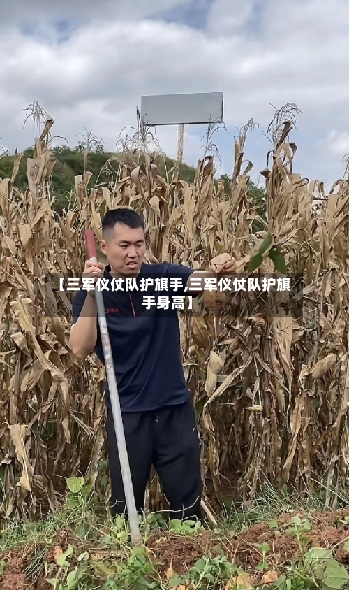 【三军仪仗队护旗手,三军仪仗队护旗手身高】-第3张图片