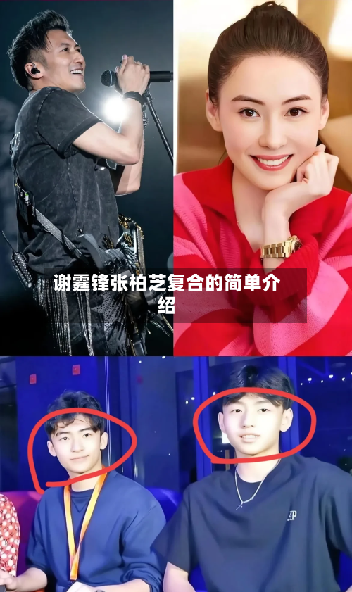 谢霆锋张柏芝复合的简单介绍-第1张图片