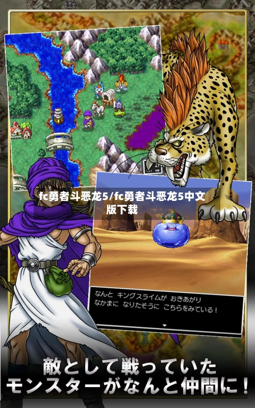 fc勇者斗恶龙5/fc勇者斗恶龙5中文版下载