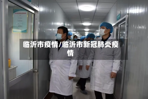 临沂市疫情/临沂市新冠肺炎疫情-第2张图片