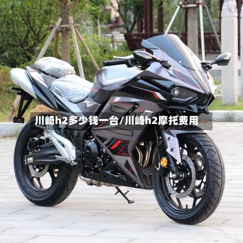 川崎h2多少钱一台/川崎h2摩托费用