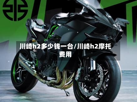 川崎h2多少钱一台/川崎h2摩托费用-第2张图片