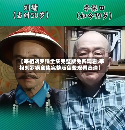 【宰相刘罗锅全集完整版免费观看,宰相刘罗锅全集完整版免费观看高清】-第2张图片