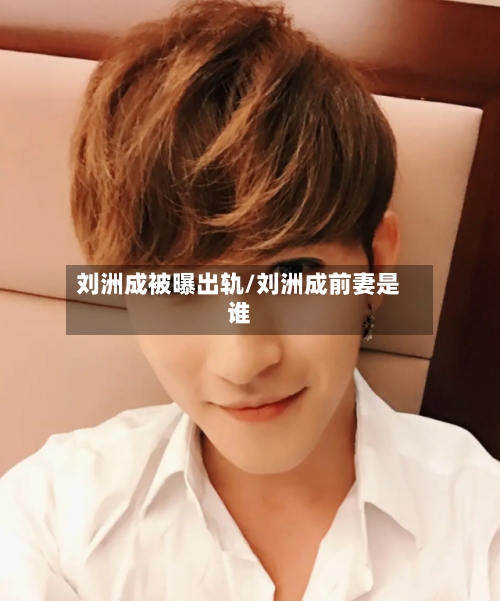 刘洲成被曝出轨/刘洲成前妻是谁-第3张图片