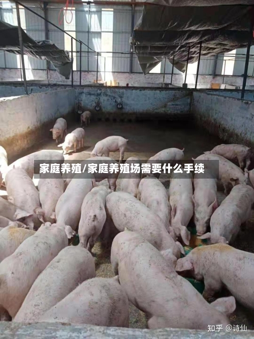 家庭养殖/家庭养殖场需要什么手续-第2张图片