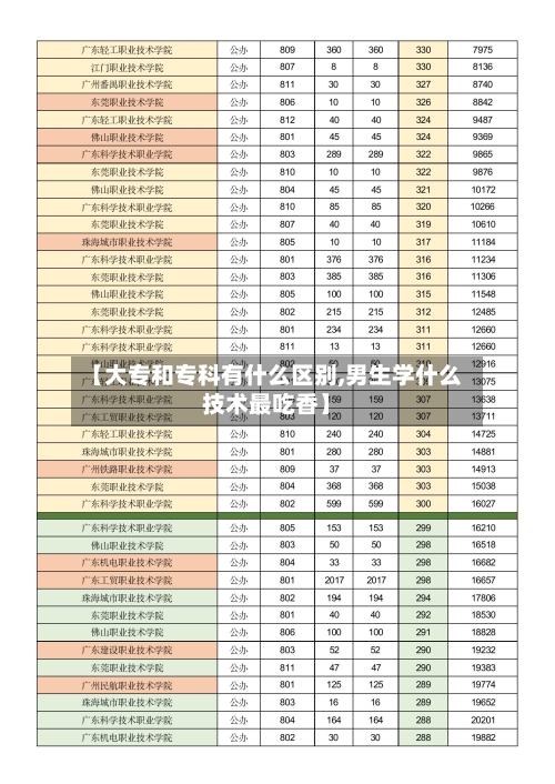 【大专和专科有什么区别,男生学什么技术最吃香】