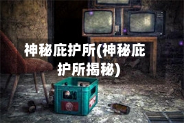 神秘庇护所(神秘庇护所揭秘)