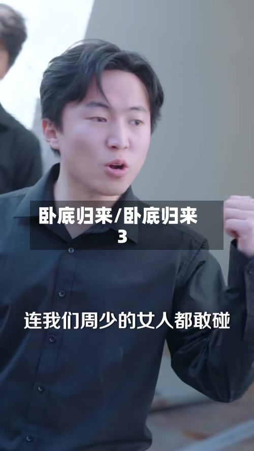 卧底归来/卧底归来3-第2张图片