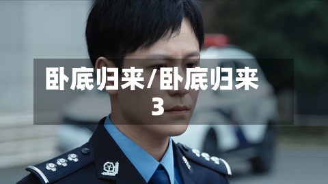 卧底归来/卧底归来3