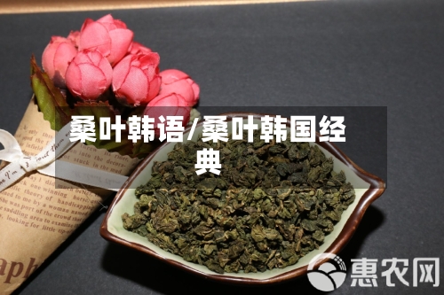 桑叶韩语/桑叶韩国经典-第2张图片