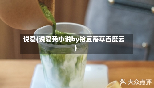 说爱(说爱我小说by拾豆落草百度云)-第2张图片