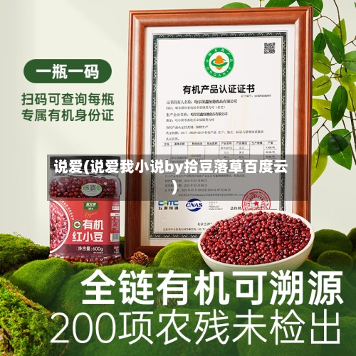 说爱(说爱我小说by拾豆落草百度云)-第3张图片