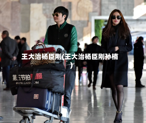 王大治杨臣刚(王大治杨臣刚孙楠)-第1张图片
