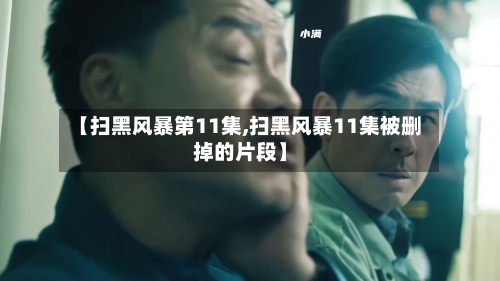 【扫黑风暴第11集,扫黑风暴11集被删掉的片段】-第1张图片