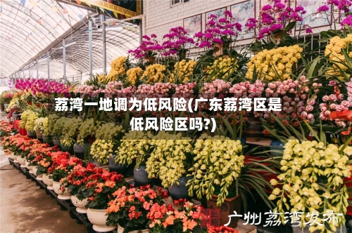 荔湾一地调为低风险(广东荔湾区是低风险区吗?)-第1张图片