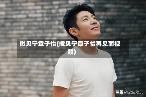 撒贝宁章子怡(撒贝宁章子怡再见面视频)-第3张图片