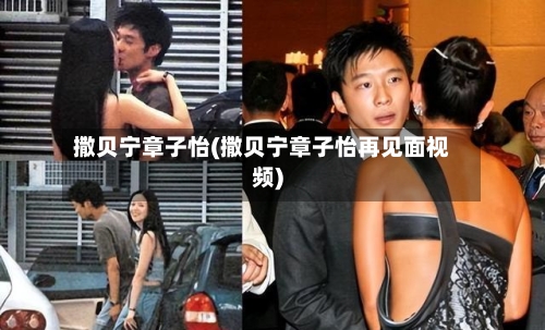 撒贝宁章子怡(撒贝宁章子怡再见面视频)-第2张图片