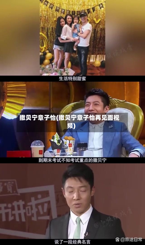 撒贝宁章子怡(撒贝宁章子怡再见面视频)-第1张图片