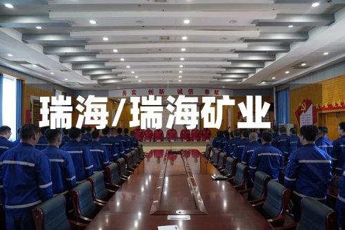 瑞海/瑞海矿业-第1张图片